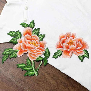 AbvP I O hJ zpb` GXjbN by ANZT[ `Ci ApC p^[ DKv | nhCh ANZg CN hXAbv GKg