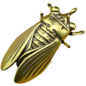 Z~ L[z_[ y_g ANZT[  t@bV  ^J  A[g  p[c `[ nhNtg v[g H|i G