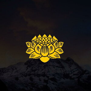 얳 XebJ[ ԗpi  J[ANZT[ V[ ԑ hXAbv `Ci g j[N 아 @ 