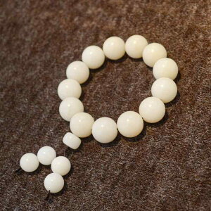 uXbg  r[Y  t@bV ANZT[ v[g   T jZbNX ~j} I[KjbN ґz X^CbV