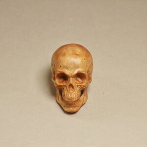 hN W CeA u i tBMA fR[V v[g ؒ  y_g ؐ I[ig XJ H|i