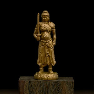  F CeA u i tBMA fR[V v[g gїp ~j g Xs`A N H|i fC[