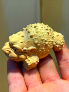 JG u tBMA CeA v[g G i fR[V ؒ ؐ `Ci  N H|i RNV A[g