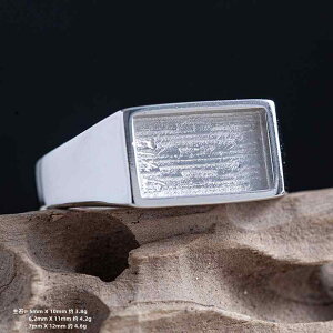 w g Vv XNGA^ WF_[X S925 Vo[  nhCh O Ntg Y fB[X ͂ߍݍ׍H DIY t[ f