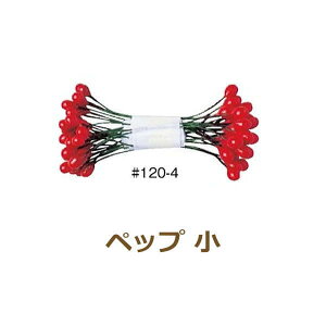 ybv Ԏ  144{ 54-120-4 ԍ Ԑc A[gt[ lR|X H| |̎Rv