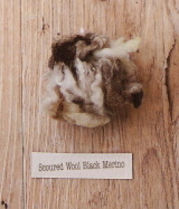 tFgr XJ[hE[EubNm 3ܒP