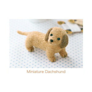 rуtFgLbg ~j`A_bNXth rуtFgLbg Ck tFgr