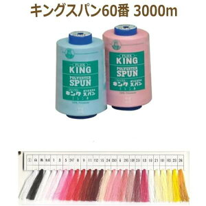 ~V LOXp 60 3000m 1s tWbNX fjx |̎Rv