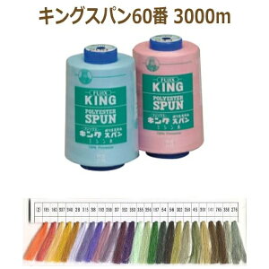 ~V LOXp 60 3000m 2s tWbNX fjx |̎Rv