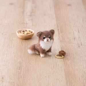 AN[kLbg AN[kł ` OR[g H441-651 rуtFg  n}iJ hama |̎Rv