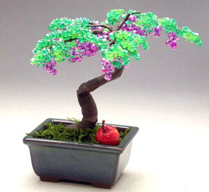 ~ ~j RvIWir[Y~̓Lbg Ԃǂ bfk ym9 |̎Rv