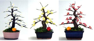 ~ ~j RvIWir[Y~̓Lbg ~ bfk ym9 |̎Rv