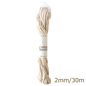 RbgXyV 2mm/30m  #1001 wA[g }N  nsk |̎Rv