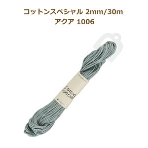 RbgXyV 2mm/30m ANA 1006 wA[g }N  2F yasuz