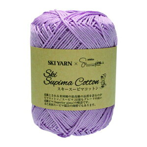 XL[ X[s}Rbg 1ʒP tĖю sky A |̎Rv