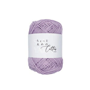 XL[ю Ƒ߂̃Rbg F5ʒP tĖю A |̎Rv