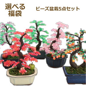 RvIWi r[Y~ Iׂ5_Zbg r[Y ~ Lbg  | S ~j~ BONSAI bonsai Mtg    ݂ C`E ~ { |̎Rv
