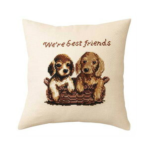 NXXeb` Lbg NbVJo[ xXgtY 6028 hJLbg IpX |̎Rv