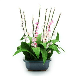 ~ ~j RvIWir[Y~̓Lbg ˂葐 bfk ym9 |̎Rv