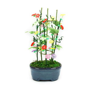 ~ ~j RvIWir[Y~̓Lbg () bfk ym9 |̎Rv