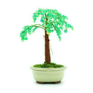 ~ ~j RvIWir[Y~̓Lbg ₵ bfk ym9 |̎Rv