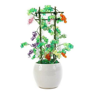 ~ ~j RvIWir[Y~̓Lbg JtԂǂ bfk ym9 |̎Rv