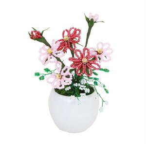 ~ ~j RXX RvIWir[Y~jԃV[Y ym9 |̎Rv