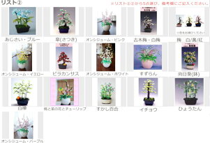 山久オリジナル福袋ビーズ盆栽手芸福袋五千円手芸の山久