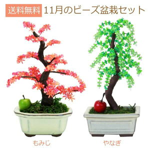 ~ ~j ߃r[Y~̓Zbg RvIWi |̎Rv