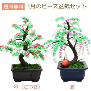 ミニ 盆栽 セット ホビーの人気商品 通販 価格比較 価格 Com