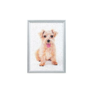 ^bN[|Lbg ^bNA[g Ck MA-7 ^bN[ 񂹏i pi~ |̎Rv