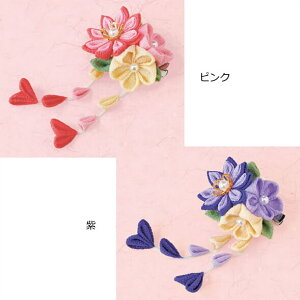 ܂ݍ׍H Lbg ԑ̃u[` lR|X 񂹏i pi~ |̎Rv