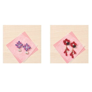 ܂ݍ׍H Lbg ߂ ʉԃCO lR|X 񂹏i pi~ |̎Rv