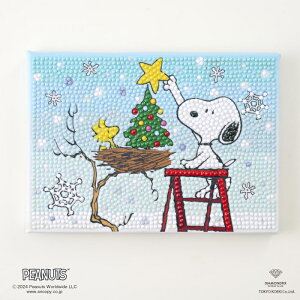 r[YLbg _ChtBbNX Xk[s[ NX}X DF2L-PN002 PEANUTS SNOOPY Xmas  lR|X
