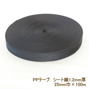 PPe[v 25mm 100m  PPxg V[gD 1.2mm |vsJ[e[v {A WbN ԕis |̎Rv