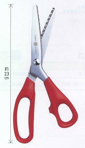 { TR.sJ[ }n sLO͂ |̎Rv