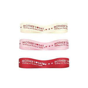 { }U[Yf[EOO 13mmЃ{ ̓ |̎Rv