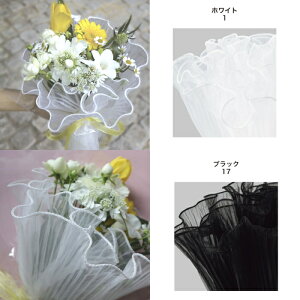 { tv[c 28cm×4m u[P ԑ Mtg v[g bsO |̎Rv