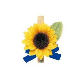 { NbvЂ܂ 4×5cmE20