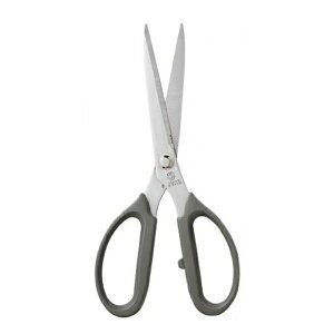 ͂ { TR.NtgVU[Y nT~ |̎Rv