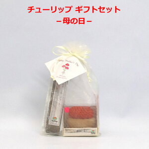 `[bv MtgZbg ̓ TPS-001 }WbNj j ԍg ̓Mtg terai |̎Rv