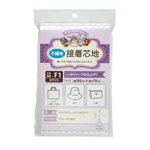 Ik} AEX}} ڒcn sDz n[hȎdオ AM-F1 lR|X |̎Rv