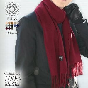 y Gg[sv |Cg10{ z }t[ Y JV~ 100 n JV~}t[ tWt Attivo 13F ATCM01 JV~A g  y y h ₦΍ ㎿ i  