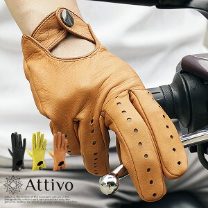 Attivo AbeB[H fBAXL I[V[Y U[O[u jp S3F/4TCY v n jp Y oCN AJ n[[  hCrOO[u  h h 