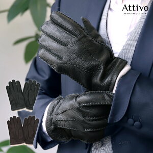  Y U[ v E[ Attivo AbeB[H fBAXL I[V[Y U[O[u jp S2F/3TCY v jp Y oCN AJ n[[  hCrOO