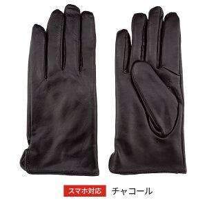  v h Y U[ O[u Attivo AbeB[H XL EB^[ jp 5F/6TCY 3L XXL IV rv nxxbg oCN AJ n[[  hCrOO