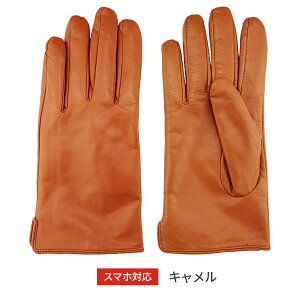 y X[p[SALE Ԍ芄iz  v h Y U[ O[u Attivo AbeB[H XL EB^[ jp 5F/6TCY 3L XXL IV rv nxxbg oCN A