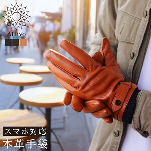 y N[|p20%OFF z  v Y oCN O[u Attivo AbeB[H XL EB^[ U[O[u S3F/3TCY jp rv Y AJ n[[  hC