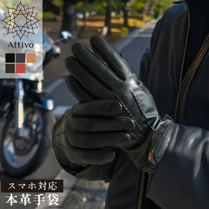  Y U[ h v H~ rv/V[vXL Attivo [5F/3TCY] [ATKU038] X}[gtHΉ jp {v { rv XL Vv n  Mtg v[g j 