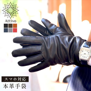 y Gg[sv |Cg10{ z JV~ 100 CjO  Y v U[ Attivo AbeB[H V[vXL X}[gtHΉ jp S6F/3TCY rv U[O[u g